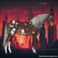 Horse Color:White Spotted Silver Brown Sabino 