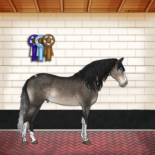 Horse Color:Gray Brown Dun Mushroom Sabino Splash Tobiano Varnish 