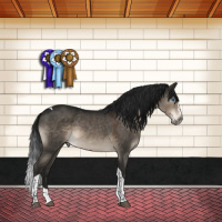 Horse Color:Gray Brown Dun Mushroom Sabino Splash Tobiano Varnish 