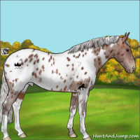 Horse Color:White Spotted Silver Brown Blanket Rabicano 