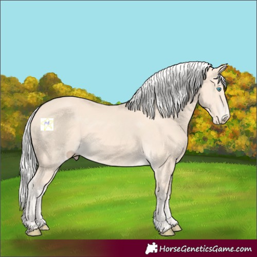 Horse Color:Silver Perlino 