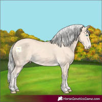 Horse Color:Silver Perlino 