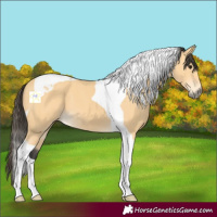 Horse Color:Buckskin Tobiano 