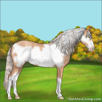 Horse Color:Silver Amber Champagne Frame 