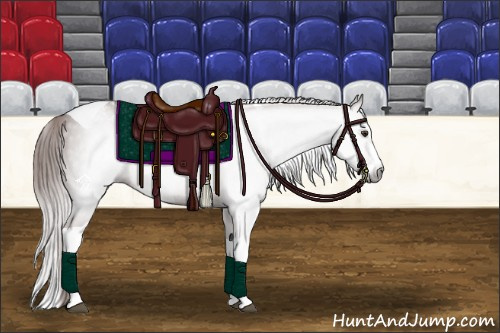 Horse Color:Gray Chestnut Splash Tobiano 