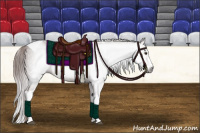 Horse Color:Gray Chestnut Splash Tobiano