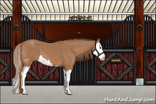 Horse Color:Red Roan Splash 