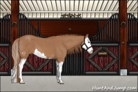 Horse Color:Red Roan Splash 