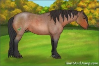 Horse Color:Bay Roan 