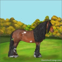 Horse Color:Brown Roan