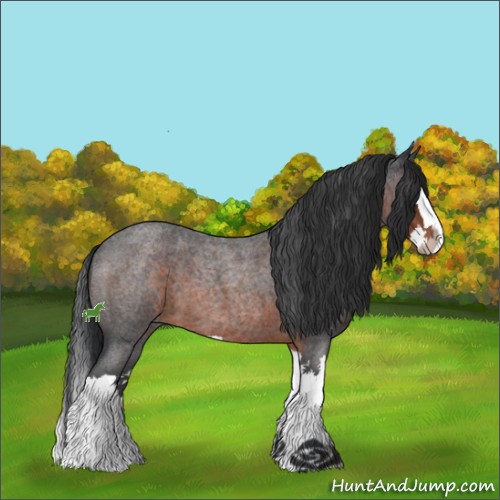 Horse Color:Brown Roan Sabino Splash 