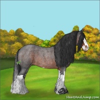 Horse Color:Brown Roan Sabino Splash 