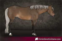 Horse Color:Gray Silver Brown Dun
