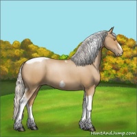 Horse Color:Silver Blue Roan Pearl Tobiano Frame 