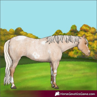 Horse Color:Silver Blue Roan Pearl Tobiano Frame 