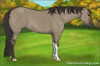 Horse Color:Smoky Grullo 