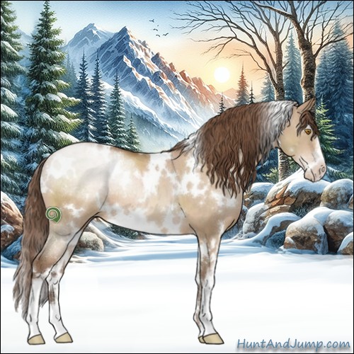 Horse Color:White Spotted Brown Pearl Dun Sabino