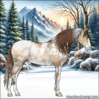 Horse Color:White Spotted Brown Pearl Dun Sabino