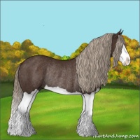 Horse Color:Liver Chestnut Splash Rabicano 