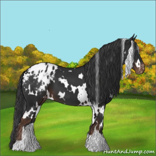 Horse Color:White Spotted Liver Chestnut Blanket 