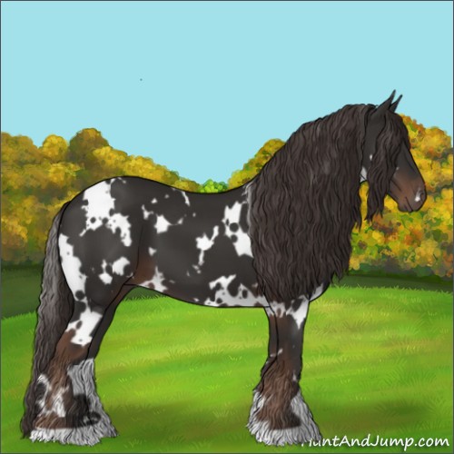 Horse Color:White Spotted Liver Chestnut 