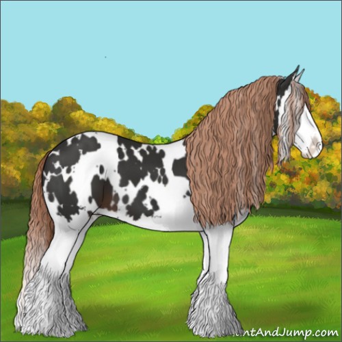 Horse Color:White Spotted Liver Chestnut Splash 