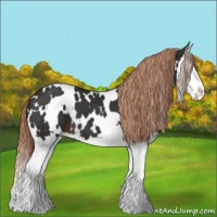 Horse Color:White Spotted Liver Chestnut Splash 