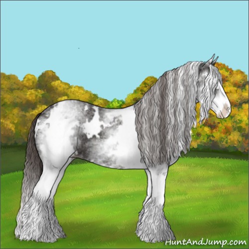 Horse Color:White Spotted Liver Chestnut Splash 