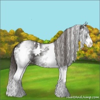 Horse Color:White Spotted Liver Chestnut Splash 