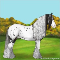 Horse Color:White Spotted Liver Chestnut Splash Appaloosa 