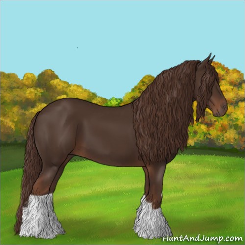 Horse Color:Liver Chestnut 