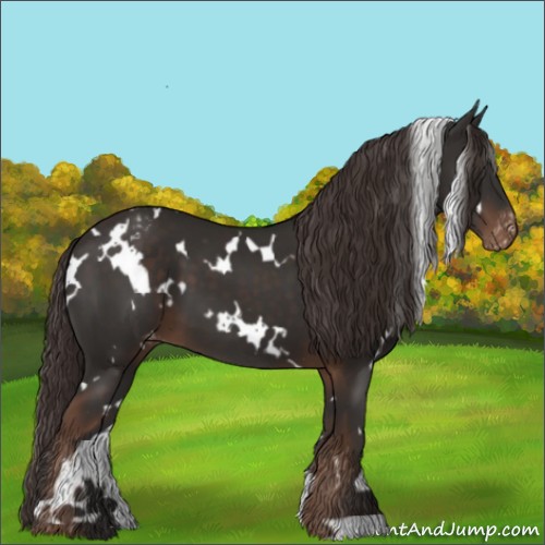 Horse Color:White Spotted Liver Chestnut Varnish