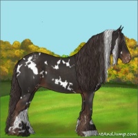 Horse Color:White Spotted Liver Chestnut Varnish