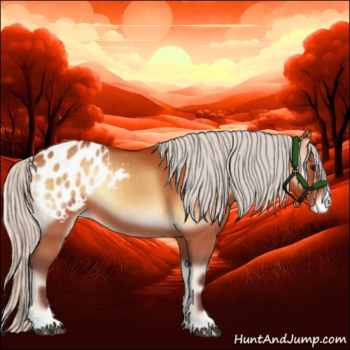 Horse Color:Silver Bay Onyx Sabino Appaloosa 