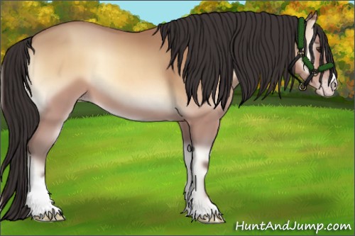 Horse Color:Amber Champagne Onyx Sabino
