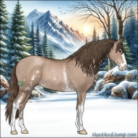 Horse Color:White Spotted Black Pearl Sabino 