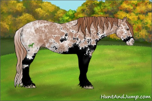 Horse Color:Chestnut Ice Sabino 