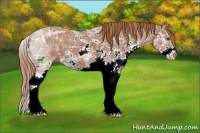 Horse Color:Chestnut Ice Sabino 