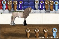 Horse Color:Black Pearl Mushroom Sabino