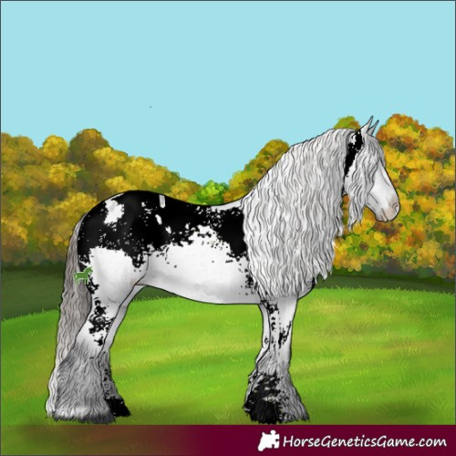 Horse Color:Blue Roan Sabino Varnish 