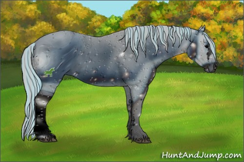 Horse Color:ERROR: UNKNOWN ANOMALY