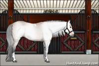 Horse Color:Gray Bay Splash Tobiano 