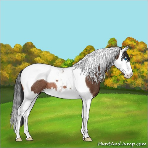 Horse Color:Brown Splash Tobiano Rabicano