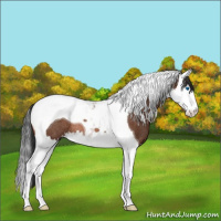 Horse Color:Brown Splash Tobiano Rabicano