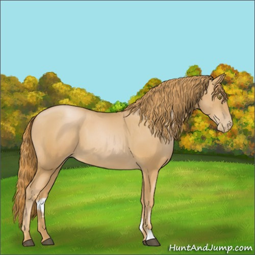 Horse Color:Chestnut Pearl 