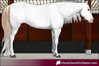 Horse Color:Bay Roan Dun Blanket