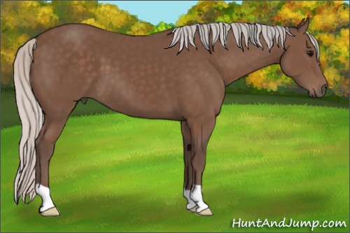 Horse Color:Silver Black 