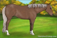 Horse Color:Silver Black