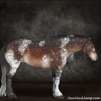 Horse Color:White Spotted Brown Snowflake Varnish 