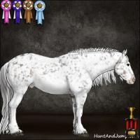 Horse Color:White Spotted Brown Snowflake Varnish 